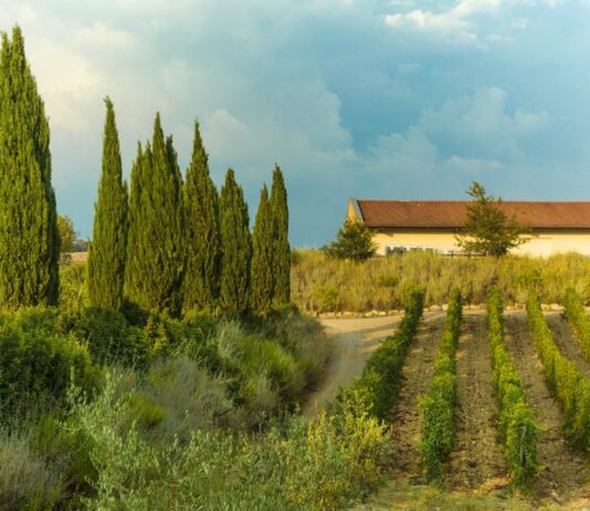 Fattoria di Magliano