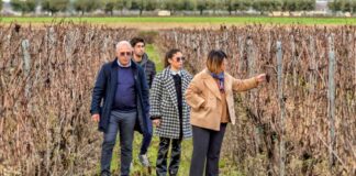 Tenuta Viglione