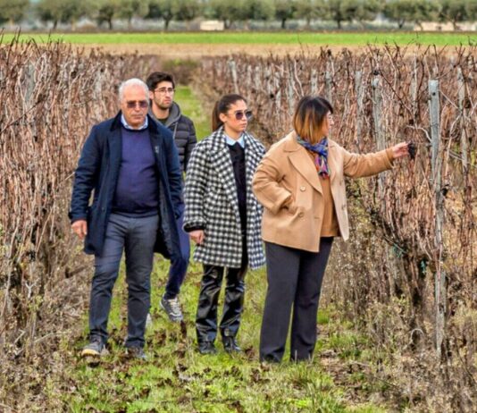 Tenuta Viglione