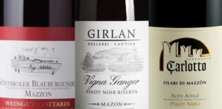 10 Pinot Nero di Mazzon