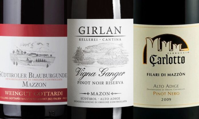 mazzon pinot nero