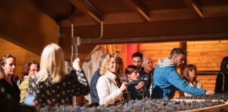 DIVIN OTTOBRE IN TRENTINO: TUTTI I WEEK INCONTRO CON I VINI DEL TRENTINO