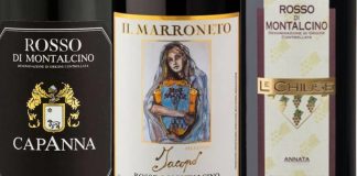 Best Rosso di Montalcino Wines