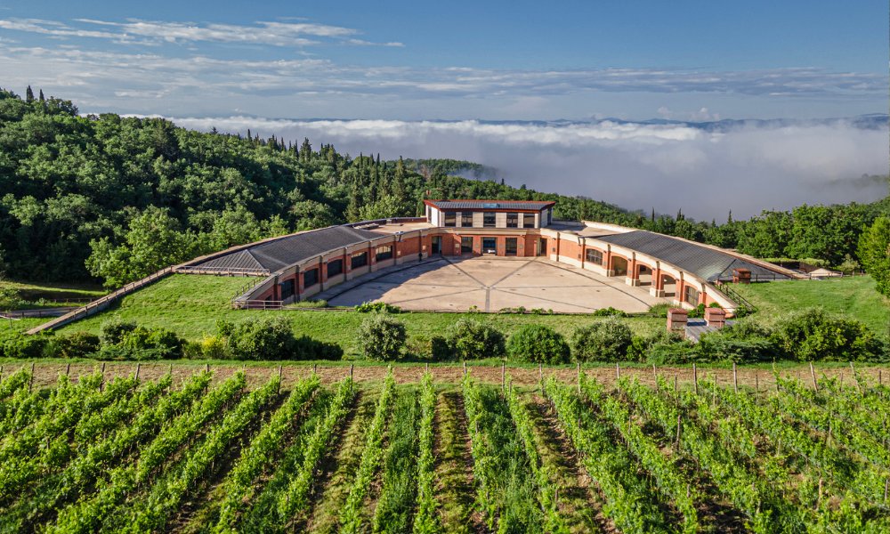 Castello di Fonterutoli - Visit & Wine Tasting