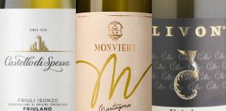 Migliori Vini del Friuli Venezia Giulia Qualità Prezzo