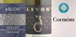 Migliori Vini del Collio Qualità Prezzo