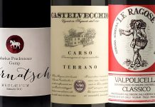 Migliori 12 Vini Rossi Leggeri Italiani (2026)