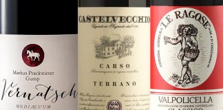 Migliori 12 Vini Rossi Leggeri Italiani (2026)