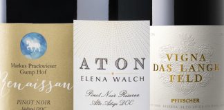 Best Pinot Noir Wines of South Tyrol