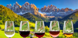 Top 10 Wineries to Visit in South Tyrol for Wine Tasting