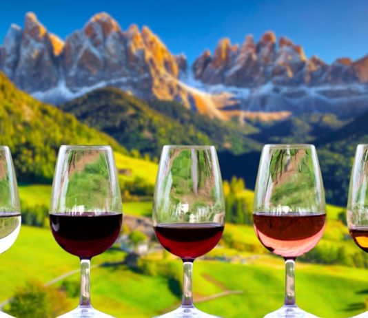 Migliori 10 Cantine da Visitare in Alto Adige Sud Tirolo