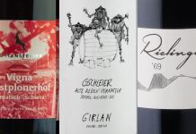 Migliori Vini Schiava – Vernatsch