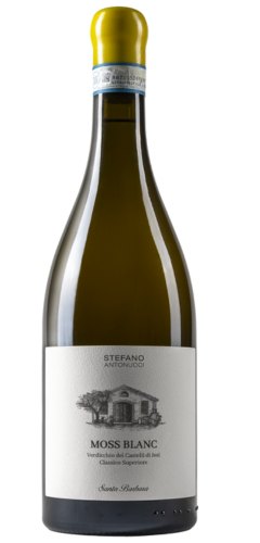 migliori verdicchio docg santa barbara