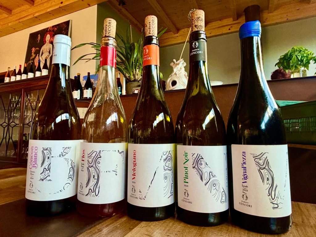 podere concori vini