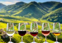 Migliori Cantine di Prosecco miglliori cantine prosecco conegliano valdobbiadene