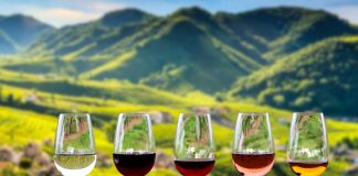 Best Prosecco Wineries to Visit miglliori cantine prosecco conegliano valdobbiadene