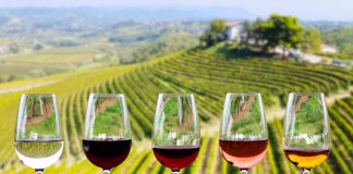 Top Wineries from Friuli Venezia Giulia cantine friuli venezia giulia