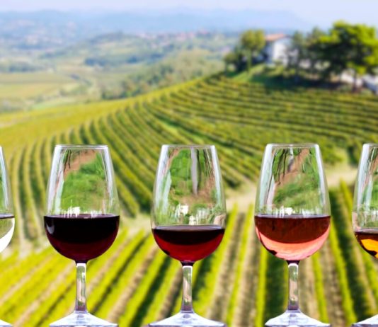 Top Wineries from Collio cantine friuli venezia giulia