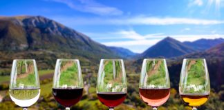 Best Wineries from Abruzzo CANTINE DA VISITARE IN ABRUZZO