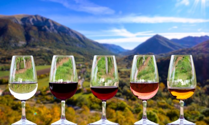 CANTINE DA VISITARE IN ABRUZZO