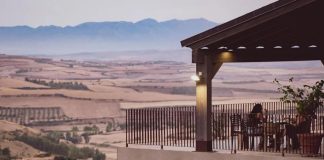 TOP 10 Wineries to Visit in Montepulciano CANTINE DA VISITARE IN SARDEGNA