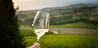 Collio Evolution 2026: degustazioni e masterclass tra Gorizia e Cormons