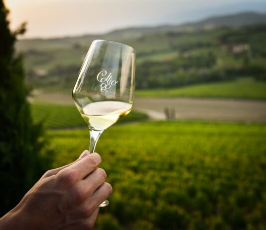 Collio Evolution 2026: degustazioni e masterclass tra Gorizia e Cormons